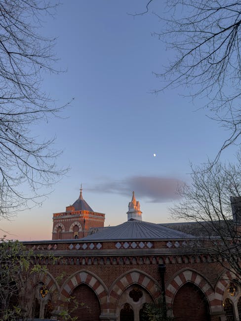 There is no flower arrangement in the provided image; it shows a view of historic brick and stone buildings with domed roofs and intricate architectural details, set against a clear evening sky with t